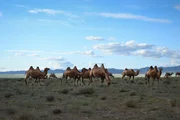 Mongolei