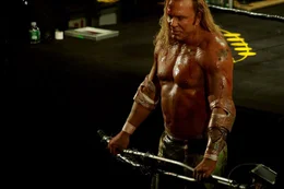 Randy "The Ram" Robinson (Mickey Rourke)