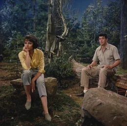 Roger Willoughby (Rock Hudson, r.), Verk&auml;ufer in der Angelabteilung eines Sportgesch&auml;fts und Autor eines erfolgreichen Fachbuchs f&uuml;r Angler, soll auf Initiative der PR-Expertin Abigail Page (Paula Prentiss, l.) an einem Angelwettbewerb teilnehmen. Er lehnt dies entschieden ab, weil er selbst noch nie in seinem Leben geangelt hat ...