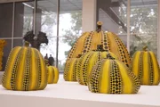 Kulturplatz – Yayoi Kusama - Kunstikone mit 96. Kürbis im Polka-Dot-Stil von Künstlerin Yayoi Kusama.
