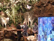Ben und Francis h&ouml;ren Jim Prappas, Chefbiologe des Rainforest Caf&eacute;, aufmerksam zu.