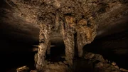 Die Mammoth Cave in Kentucky ist hunderte Kilometer lang &ndash; und ein Paradies f&uuml;r Flederm&auml;use.