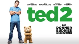 TED 2 - Artwork