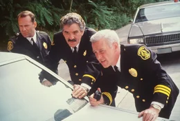 Auf Verbrecherjagd: Vince Hardy (John Mahoney, r.), Nick Detillo (Dennis Farina, M.) und Tom Hardy (Bruce Willis, l.) ...
