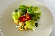 Gnocchi mit Tomatensauce und Blütensalat. Gnocchi mit Tomatensauce und Blütensalat.