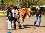 Das Drehteam und Monika auf der Koppel.