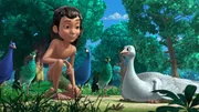 Mogli hat Pavo, den weißen und kurzsichtigen Pfau, kennengelernt und bestärkt ihn ein bisschen, Mina bei der Pfauen-Versammlung für sich zu gewinnen.