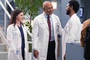 Grey's Anatomy Staffel 19 Folge 18 Caterina Scorsone als Dr. Amelia Shepherd, James Pickens Jr. als Dr. Richard Webber, Anthony Hill als Dr. Winston Ndugu Grey's Anatomy Staffel 19 Folge 18 Caterina Scorsone als Dr. Amelia Shepherd, James Pickens Jr. als Dr. Richard Webber, Anthony Hill als Dr. Winston Ndugu