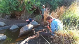 Der Kameramann Daniel Raquet dreht Schildkr&ouml;ten in Madagaskar.