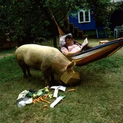 Der Nachbar (Helmut Krauss) hütet Hildegard, Peters Schwein. Er malt sich schon einen leckeren Schweinebraten mit Salbei aus, doch Peter hat da ganz andere Pläne.