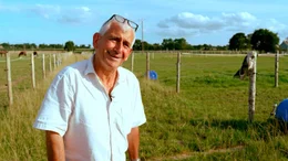 Stefane Baillif ist Experte f&uuml;r "Trait Breton", den bretonischen Kaltblutpferden