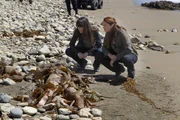 Patrick, Grace (Amanda Righetti, r.) und Teresa (Robin Tunney, l.) müssen den Tod einer jungen Frau aufklären, deren Leiche an den Strand einer Insel gespült wurde.
