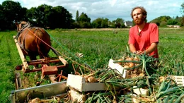 Gabriel Argon betreibt seine kleine Landwirtschaft mit einem &bdquo;Trait Breton&ldquo;, einem bretonischen Kaltblut.
