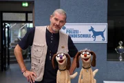 Die Erdmännchen verkleidet mit Hundetrainer Götz Otto. Die Erdmännchen verkleidet mit Hundetrainer Götz Otto.