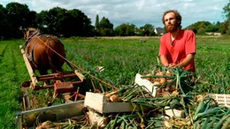 Gabriel Argon betreibt seine kleine Landwirtschaft mit einem "Trait Breton", einem bretonischen Kaltblut