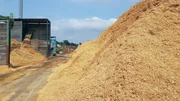 Aus gepresstem Sägemehl wird der Heizstoff Pellet hergestellt. Die Abfälle im Sägewerk werden genutzt, um ganze Häuser zu heizen.