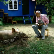 Wohl aus Versehen wurde bei Peter (Peter Lustig) ein Schwein abgeliefert. Was jetzt?