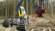Täglich kann so ein Harvester bis zu 200 Bäume umlegen. Mit diesem Spezialgerät werden heutzutage fast alle Bäume im Harz gefällt.
