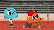 v.li.: Gumball, Darwin.