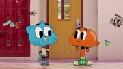 v.li.: Gumball, Darwin.