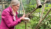 Claudia in der Voliere der Siebenschläfer. (Dr. Claudia Bieber). Claudia in der Voliere der Siebenschläfer. (Dr. Claudia Bieber).