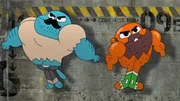 v.li.: Gumball, Darwin.