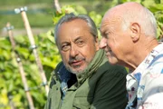 Stubbe (Wolfgang Stumph, l.) und Norbert (Dietrich Hollinderbäumer, r.) am Weinberg, sein Fahrrad wurde gestohlen.