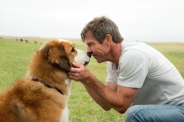 Dennis Quaid als Adult Ethan, r.