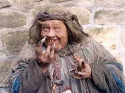 Die Hexe (Helena Ruzickov&aacute;)