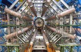 Der ATLAS Calorimeter