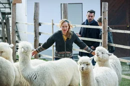 (v.li.): Lotte (Brigitte Hobmeier), Sascha Bergmann (Hary Prinz), Sandra Mohr (Miriam Stein)