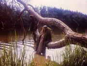 Verzweifelt macht er sich auf die Suche nach seinem Prinzesschen, der rote Schuh weist mit der Spitze wie ein magischer Kompass in die Richtung des Weges, den Jira gehen muss. Doch irgendwann verliert sich jeder Weg, S&uuml;mpfe breiten sich aus.