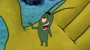 Plankton