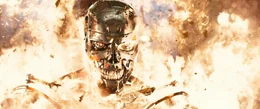 Was von Skynet erschafft wird, sorgt f&uuml;r Angst und Schrecken. Die Maschinen wollen mit allen Mitteln die Weltherrschaft an sich rei&szlig;en ...