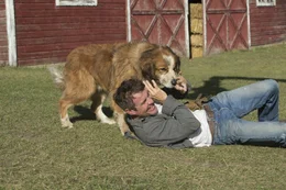 L-R:  Dog (Josh Gad) und Adult Ethan (Dennis Quaid)