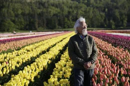 David Suzuki im Tukpenfeld   Die Verwendung des sendungsbezogenen Materials ist nur mit dem Hinweis und Verlinkung auf RTL+ gestattet.