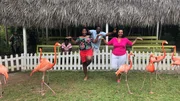 Exterior, Clients Christina and Dahl with flamingos in Nassau, Bahamas. As seen on HGTV's Caribbean Life. Exterior, Clients Christina and Dahl with flamingos in Nassau, Bahamas. As seen on HGTV's Caribbean Life.