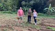 Exterior, Clients Josh and Liz picking carrots in a farm in St. Croix. As seen on HGTV's Caribbean Life. Exterior, Clients Josh and Liz picking carrots in a farm in St. Croix. As seen on HGTV's Caribbean Life.