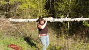 Gabe Brown cuts down tree to create wedding ceremony arch. Gabe Brown cuts down tree to create wedding ceremony arch.