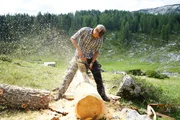 Staubige Angelegenheit: Christian Gruber beim Sägen eines neuen Wassertrogs für das Vieh. Staubige Angelegenheit: Christian Gruber beim Sägen eines neuen Wassertrogs für das Vieh.