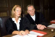 Der Immobilienmakler Peter Fischer wird durch einen gezielten Wurf mit einem Pflasterstein von einer Brücke in seinem Auto getötet. Ins Visier der Ermittler gerät der Boss einer Jugendgang, der Fischer womöglich aus Eifersucht getötet hat. Der Prozess verläuft für die Staatsanwälte Lotze (Henry van Lyck) und Glaser (Britta Schmeling) zunächst nach Plan...