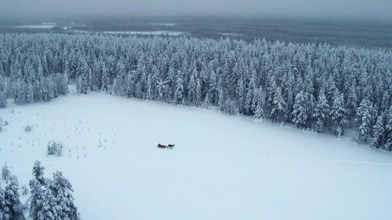 Lappland - Im Reich der Rentiere (USA, 2019)