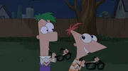 L-R:  Ferb Fletcher,  Phineas Flynn