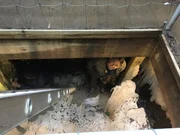 Rob Nelson Rob Nelson