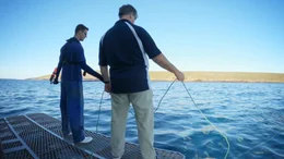 Charlie and Andrew on deck with bait and fincam.