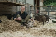 "PUR+"-Moderator Eric Mayer forscht im Schweinestall und auf der Weide und testet, wie schlau Schweine sind. Zusammen mit Dr. Marianne Wondrak.