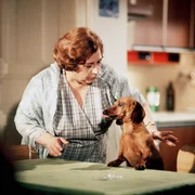 Dieser Dackel behauptet, Frau Maiers (Stella Zazvorkova) Ehemann zu sein.