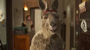 Das K&auml;nguru &ouml;ffnet ungebetenen G&auml;sten die T&uuml;r, die bald das Leben und die Wohnung von Marc-Uwe (Dimitrij Schaad) auf den Kopf stellen werden.
