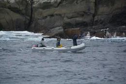 Lauren and Tom on boat searching for fin cam.