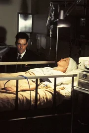 Meg Austin (Tracy Needham), Harmon Rabb, Jr. (David James Elliott)